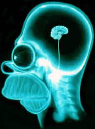 Pausch Rontgenbild Von Homer Simpson