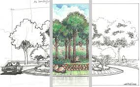Drawing For Landscape Architects Pesquisa Google Projeto De Paisagismo Arvore Desenho Croqui Arquitetura
