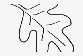 To print the coloring page: Oak Leaf Outline Oak Leaf Coloring Pages Free Transparent Png Download Pngkey