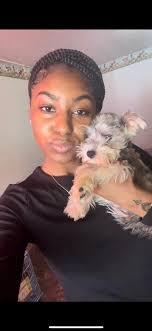 Any tips for training a pet to come when called?