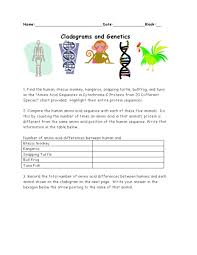 Cladograms And Genetics Worksheet For 10th Higher Ed Lesson Planet