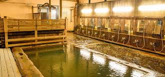 Feb 07, 2020 · tourists should be aware of the japan customs procedures when entering or departing japan. 30 Tattoo Friendly Onsen In Japan Gaijinpot Travel