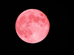 Erfahre, wann der nächste vollmond ist, oder besser gesagt: Pinker Vollmond Im April Wann Und Wo Er Zu Sehen Ist