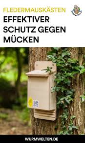 Fledermauskasten Gegen Mucken Fledermauskasten Schadlinge Schadlinge Im Garten