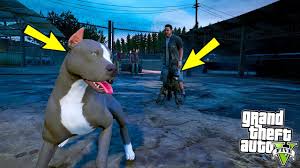 Yavru Pitbull Siyah Sivas Kangaliyla Kafes Dovusu Yapiyor Gta 5 Youtube