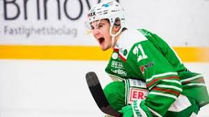 Nils hoglander with the goal of the year today for rogle! Nils Hoglander Highlights Hd Youtube