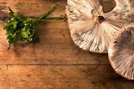 Check spelling or type a new query. 3 213 Parasol Table Photos Free Royalty Free Stock Photos From Dreamstime