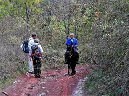 If you happen to find yourself on the appalachian trail on that date, chances are you might run into some fellow hikers who are observing the tradition. Belgrade Sofia Sultans Trail