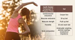 Physical fitness and appearance are not synonymous. Understanding The Different Components Of Physical Fitness Femina In
