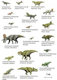 Dinosaur Diagram Profiles Sizes Comparison Chart Google