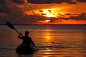 Maybe you would like to learn more about one of these? A Guide To Kayaking In The Palm Beaches Palm Beach Illustrated