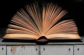 Check spelling or type a new query. Partes De Un Libro Significados