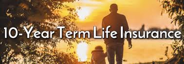 How do life insurance companies make money? 10 Year Term Life Insurance Policies Explained Life Ant