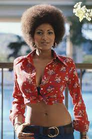 Pam Grier, AKA Foxy Brown, And Her Sexy Crop Top (PHOTO) | HuffPost Life