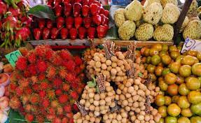 Maybe you would like to learn more about one of these? Buah Impor Mahal Buah Lokal Siap Rajai Indonesia