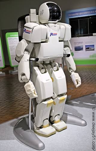 P3 — image 4