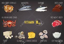 Sie sind bausteine von hormonen und enzymen. Hoher Vitamin B12 Lebensmittel Wie Gesunde Meeresfruchte Fleisch Fisch Krabben Quark Leber Und Austern Lizenzfrei Nutzbare Vektorgrafiken Clip Arts Illustrationen Image 83438425