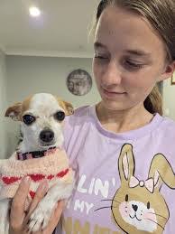 Liz Phinney's Instagram, Twitter & Facebook