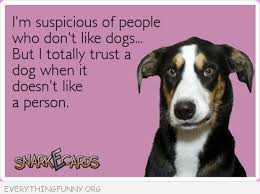 Funny Quote Suspicious People Dogs Dog Quotes Ecards Funny Dog Person