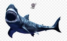 Scary great white shark pictures. Great White Shark Scary Shark Transparent Background Png Great White Shark Png Free Transparent Png Images Pngaaa Com