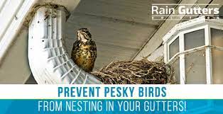 During the majority of the year, debris from trees or materials from your roof will accumulate in the bottom of. Why A Rain Gutter Cleaning Service Is Necessary Even If You Don T Have Trees Surrounding Your Home