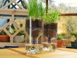 Diy kitchen herb garden, planted in a simple to build crate. How To Make An Indoor Self Watering Herb Garden The Kitchen Food Network Food Network