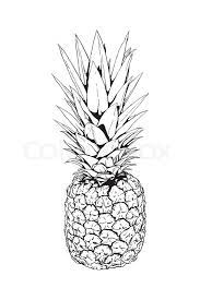Human eye in black and white stock vector illustration of. Schwarz Weiss Darstellung Der Ananas Stock Vektor Colourbox