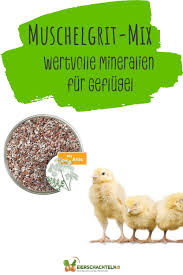 Premium Muschelgrit Mix Fur Geflugel Mit Anis Naturliches Mineralfuttermittel Huhner Futter Huhnerfutter Legemehl