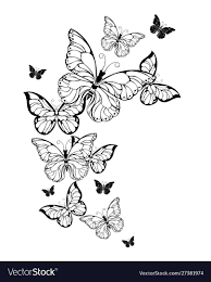 Flight contour butterflies Royalty Free Vector Image