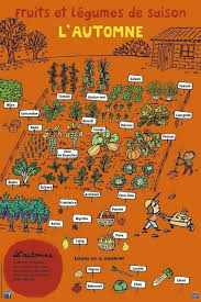 Tableau Sur Les Fruits Et Legumes D Automne Automne Fall Fruits Vegetables Legumes Jardin Jardinage Potager Legumes Automne Fruits Et Legumes De Saison