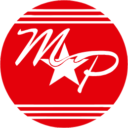 PT. Mega Star Persada