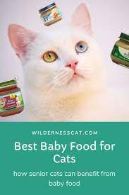 Can Cats Eat Baby Food Best Baby Food For Cats Wildernesscat Baby Food Recipes Cat Food Pureed Food Recipes