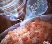 Smart Molecules - Wiley Online Library