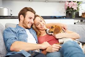 Check spelling or type a new query. Can Beagles Live In Apartments A Complete Guide Embora Pets