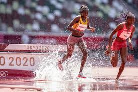 Saif saaeed shaheen of qatar holds the world record for the men's 3000 steeplechase at 7 minutes and 53.63 seconds, set in 2004. Dzzhz7mpso Cwm