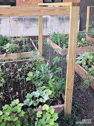 We did not find results for: Cucumber Trellis Ideas Tips Inspiration For Vegetable Gardens