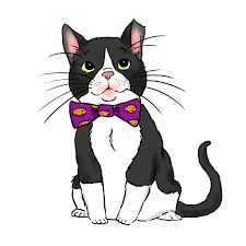 Image result for cartoon cat