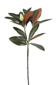 Shop from the widest range of new artificial magnolia at dhgate new zealand with free shipping. Deluxe Magnolia Leaf Spray 88cm Holstens