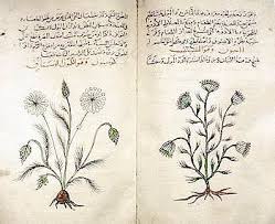 Pharmacognosy Wikipedia