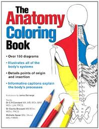 The best anatomy books and learning aids for kids, hands on learning, all about me theme, anatomy for kids, great science and health education books & tools. 25 Best Selling Anatomy Coloring Books Of All Time Bookauthority