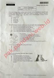 Download Soal Un Biologi Sma Tahun Pelajaran 2014 2015 Paket Soal 2 Blog Pak Pandani
