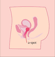 A-Spot - Bellesa Wiki | Bellesa - Porn for Women
