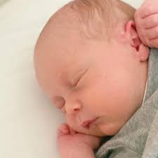 How To Use Small Stamps In Shaker Cards