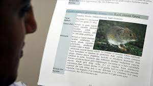 Hantaan virus, sin nombre virus, andes virus, puumala virus (examples). Man Dies Of Hantavirus In China Report