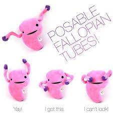 Uterus Plush Womb Service Plush Organ Stuffed Toy Pillow In 2021 Uterus Plush Memorable Gifts