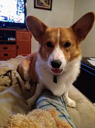 Let's welcome our new members: Lexi Fields