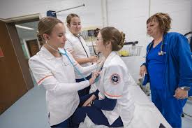 Denise Lee VanGilder