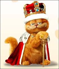 Homelife Capital Realty Garfield Disney Drawings Lion King Movie