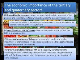 The term tertiary economic activity typically refers to the service sector; What Is The Definition Of Quaternary Industry