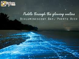 Bioluminescent Beach Puerto Rico Fajardo Bioluminescent Bay Fajardo Puerto Rico Puerto Rico Was Blessed With 3 Bioluminescent Bays The Brightest Is Mosquito Bioluminescent Bay Vieques Puerto Rico